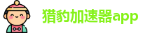 猎豹加速器app